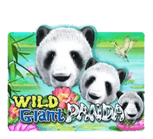 สล็อต XO Wild Giant Panda SlotXO เครดิตฟรี