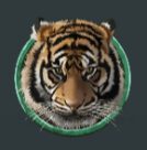 Tiger Lord (เจ้าเสือ) ASKMEBET สล็อต PG Slot สล็อต PG แตกง่าย