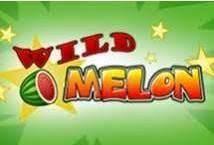 Wild Melon เกมสล็อต PG SLOT