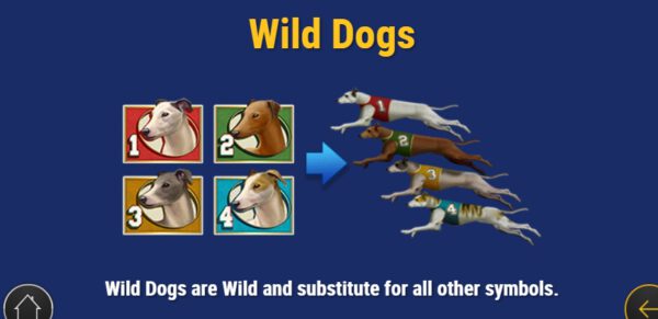 ข้อมูลต่างๆ จากเกม Wildhound Derby