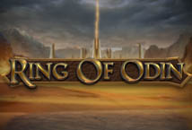Ring of Odin เกมสล็อต PG SLOT