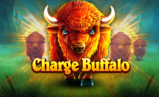 Charge Buffalo รีวิว