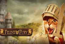 Feline Fury เกมสล็อต PG SLOT