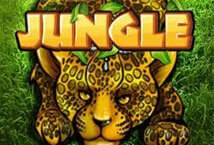 Jungle-Ka-gaming-PG-Slot-Download-PG-SLOT