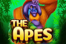 The-Apes-ka-gaming-สล็อต-PG-PG-Slot119