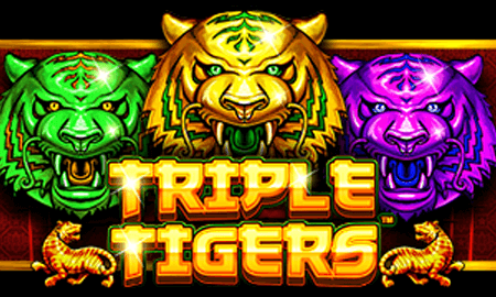 Triple Tigers ค่าย Pragmatic play ทางเข้า PG PG Slot119