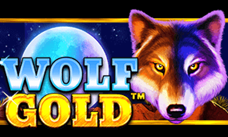 Wolf Gold ค่าย Pragmatic play ทางเข้า PG PG Slot119